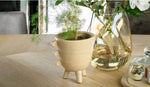 Ridgefield Urban Oak Elliptical Dining Tables in Light Oak